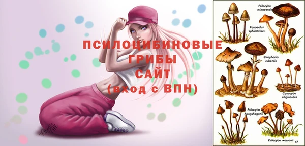 синтетический гашиш Белоозёрский